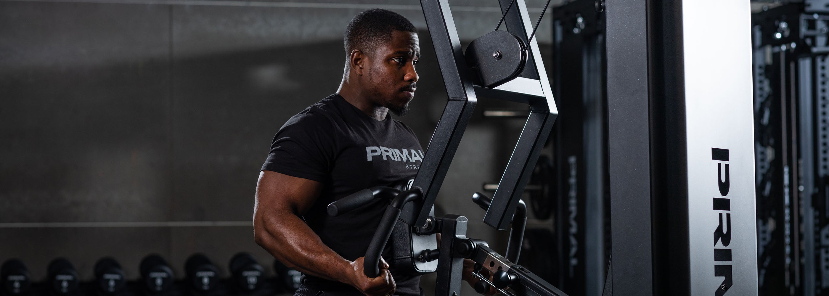 Gym Arm Machines Arm Resistance Machines Primal Strength