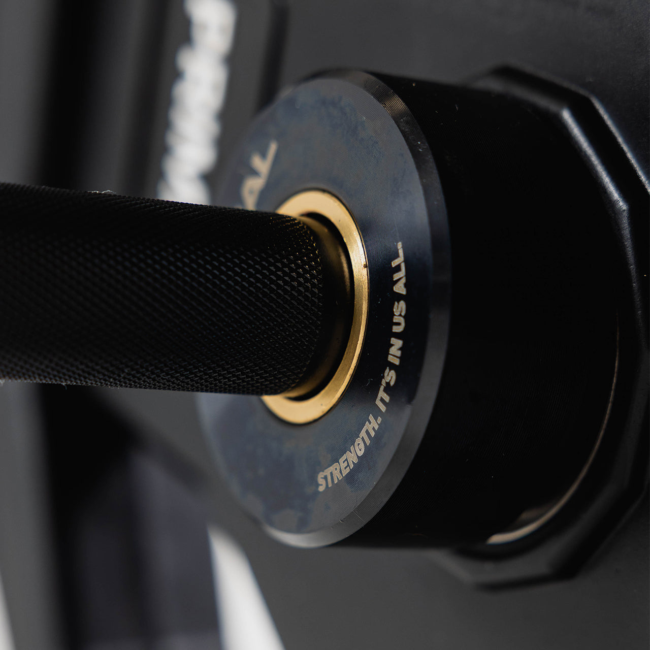 Close-up of a gym barbell with a black handle and blue and gold weight plate.