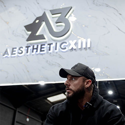 Aesthetic 13, Motherwell