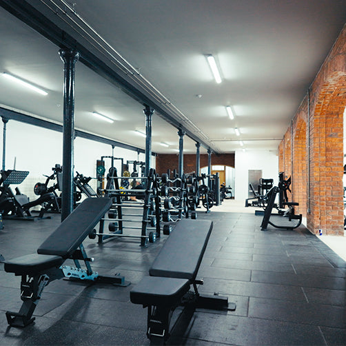 Omni Gym x Primal