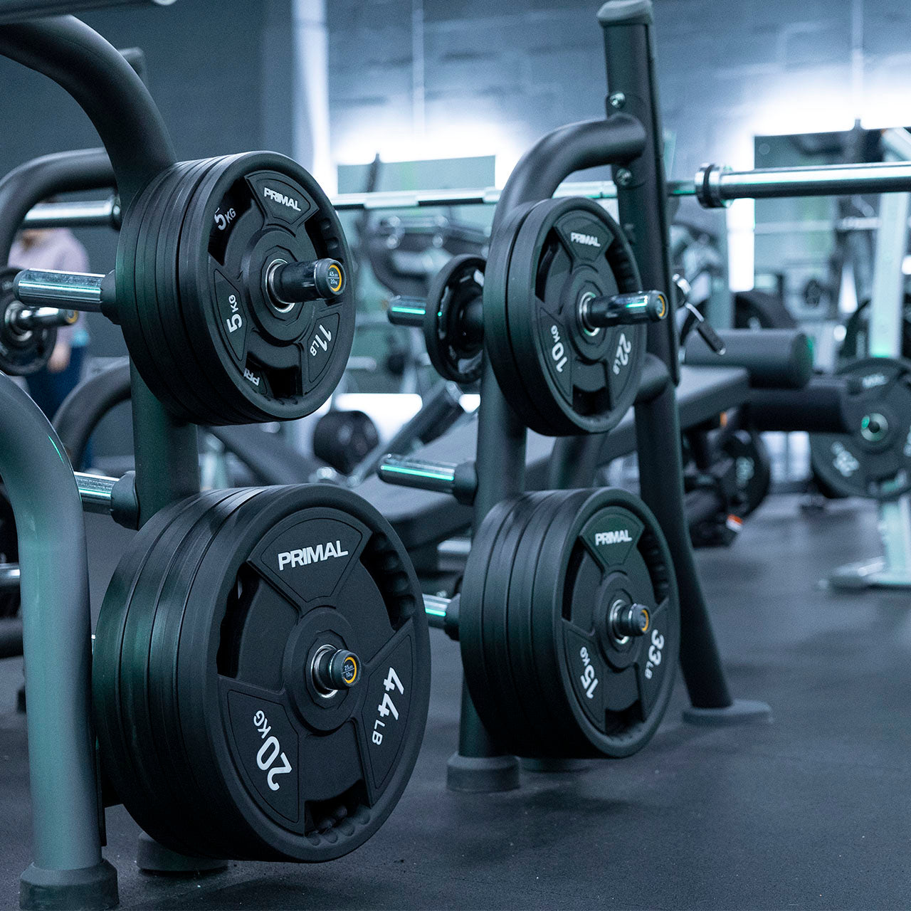 CPU Weight Plates – Primal Strength