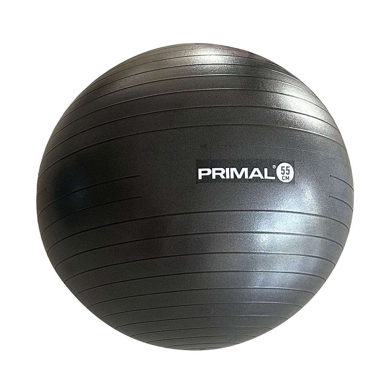 Primal Performance Series Gym Ball