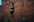 Primal Strength image