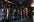 Primal Strength image