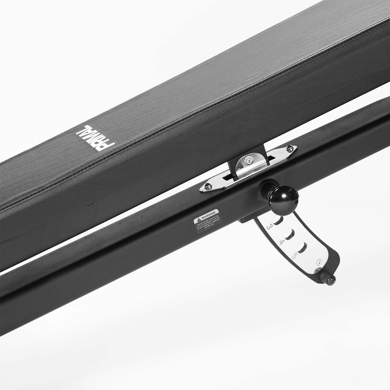Club Adjustable Ab Bench