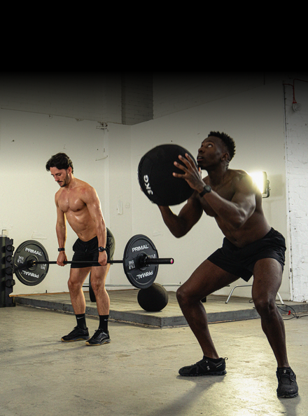 Commercial Sissy Squat Primal Strength