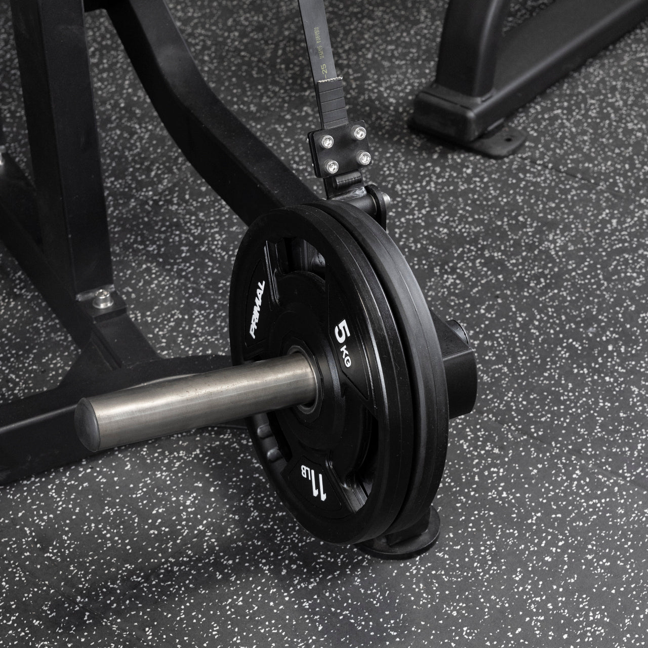 Plate Loaded ISO Bicep Curl