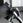 Plate Loaded ISO Bicep Curl