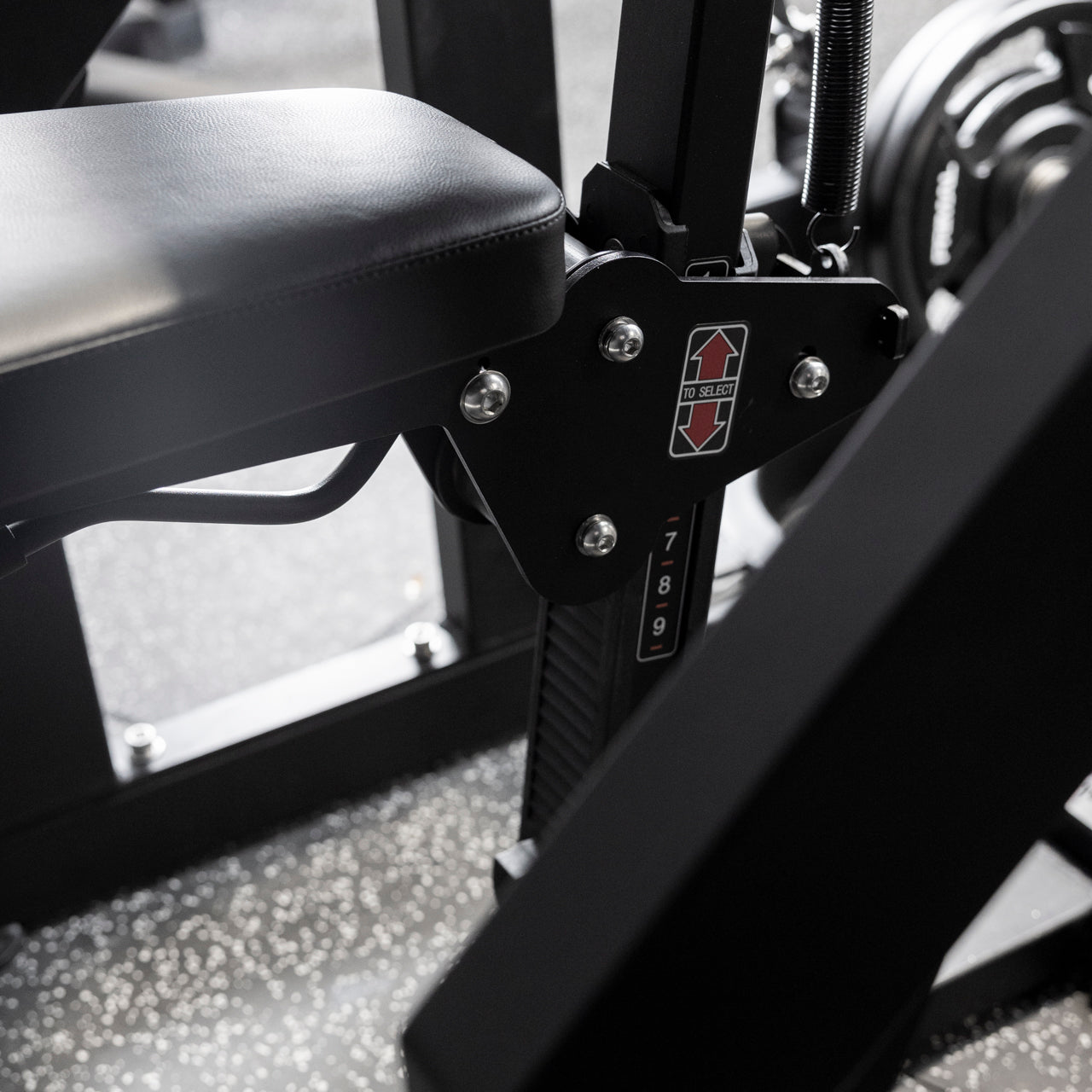 Plate Loaded ISO Bicep Curl