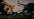 Primal Strength image