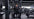 Primal Strength image