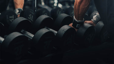 <p>Dumbbell Racks</p>