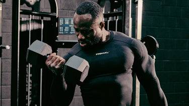 <p>Dumbbells</p>