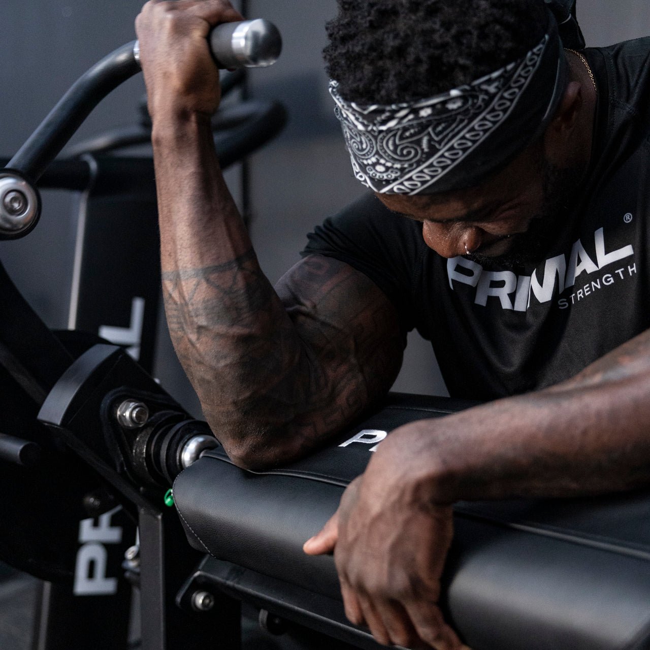 Plate Loaded ISO Bicep Curl