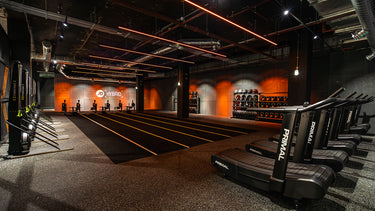 <p>JD Gyms</p>