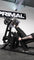 Primal Strength image