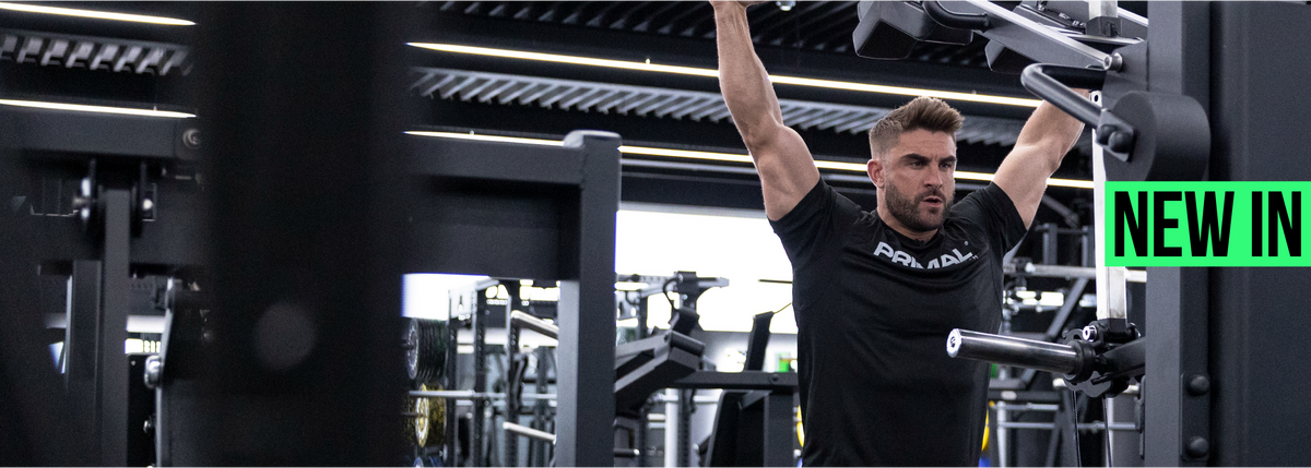 Pxd Rig Gym Rigs – Primal Strength