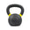 Cast Kettlebell (Singles)
