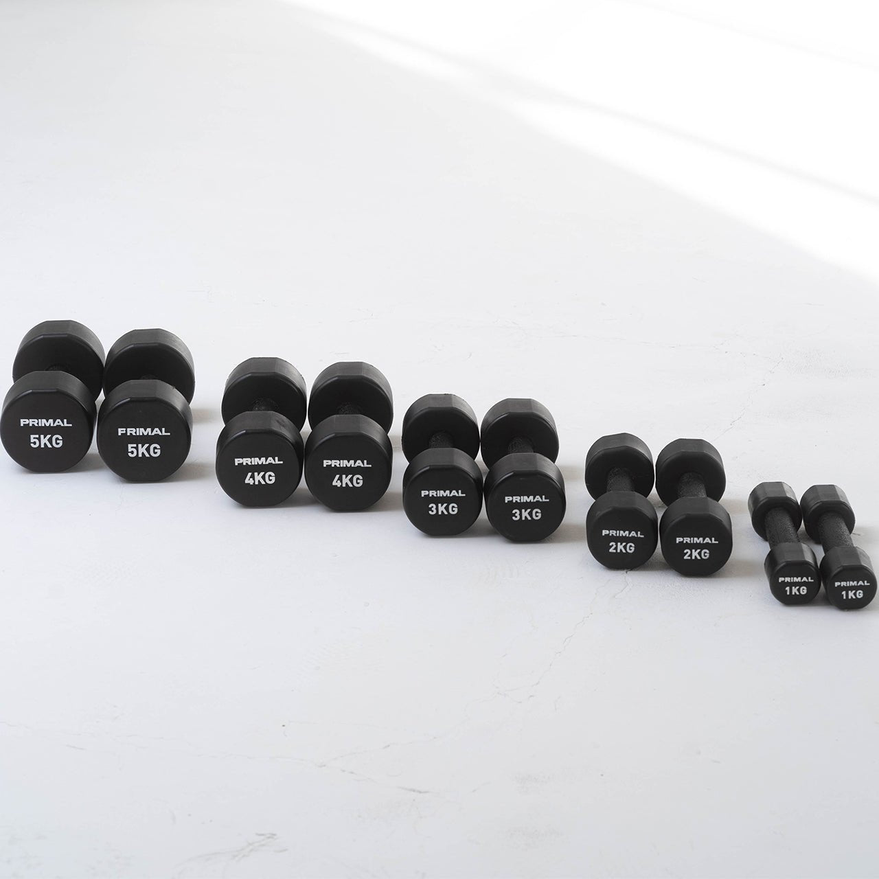 Urethane Studio Dumbbells