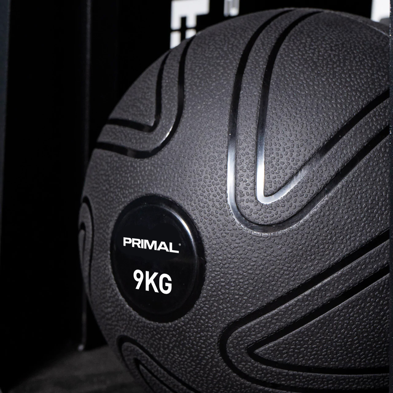 Black slam ball with 'Primal' branding and '9KG' marking on a dark background