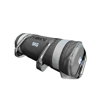 A 5kg grey sandbag with handles.