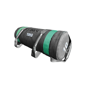 A 10kg sandbag with handles.