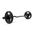 Black Ionised Olympic EZ Bar