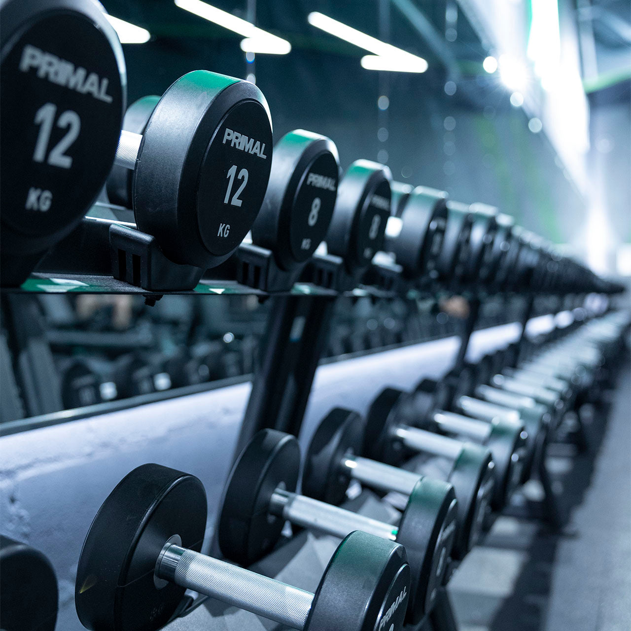 A horizontal dumbbell rack filled with black urethane dumbbells in a gym.
