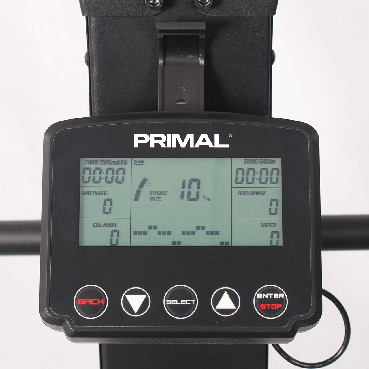 HIIT Skier with Stand