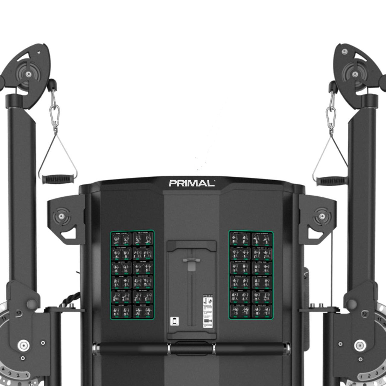 Dual Arm Functional Trainer