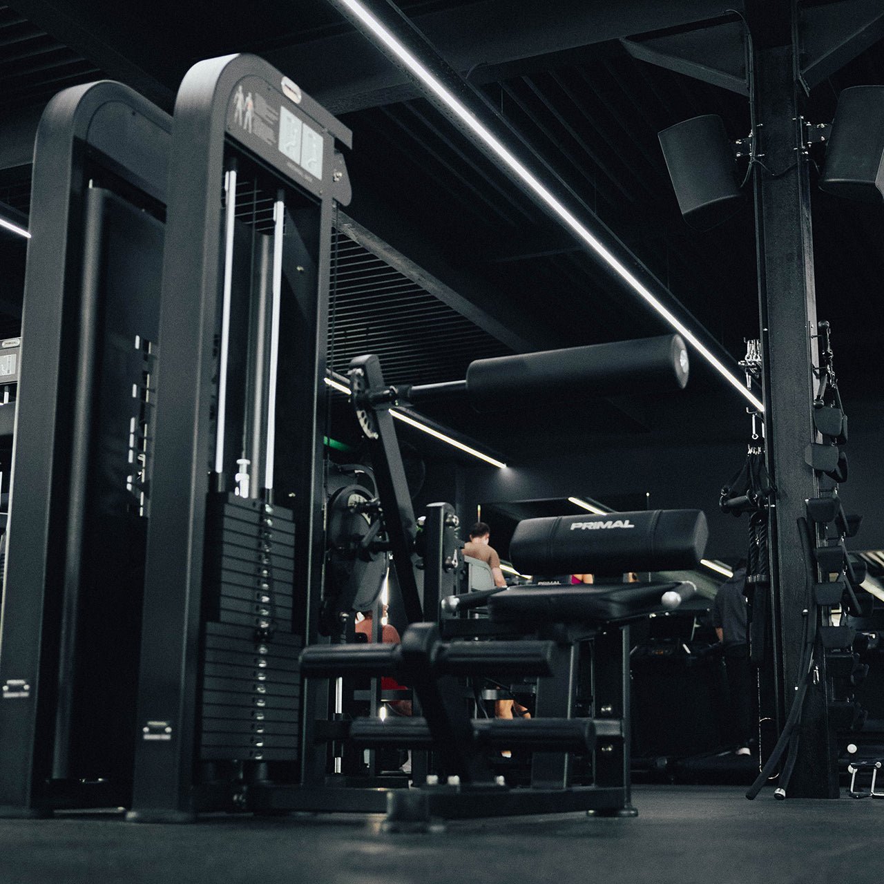 125kg Pin-Select - Ab Crunch/ Back Extension