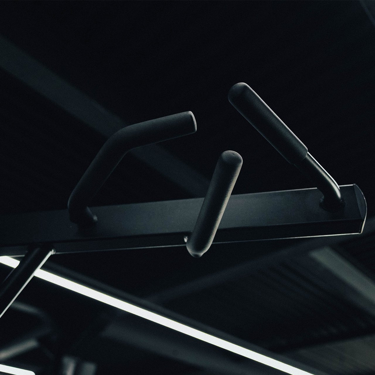 125kg Pin-Select  - Dual Assisted Chin/Dip