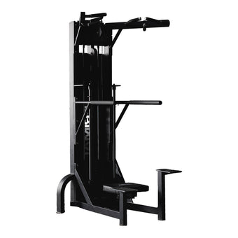 A commercial-grade dual function chin & dip machine on a white background.