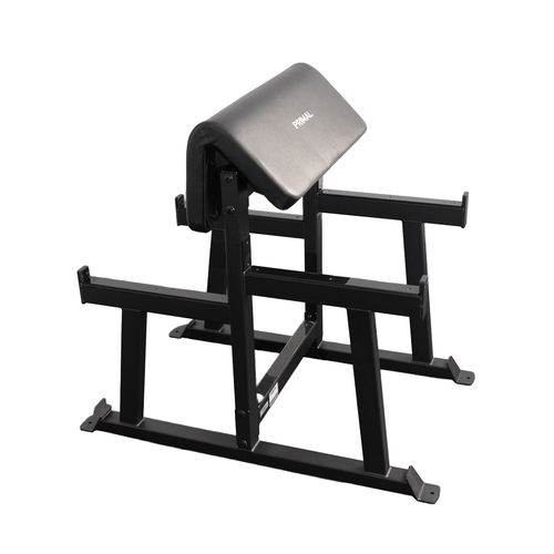 Standing Preacher Curl