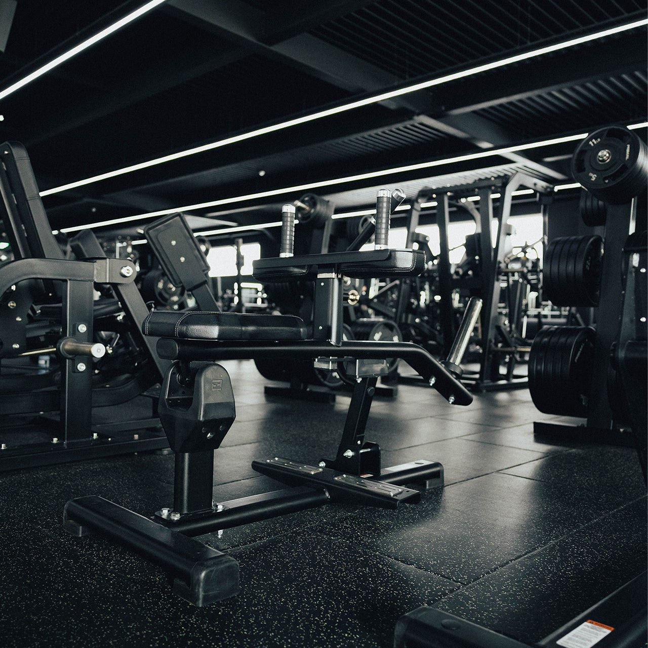 A plate loaded seated calf raise machine in a gym.