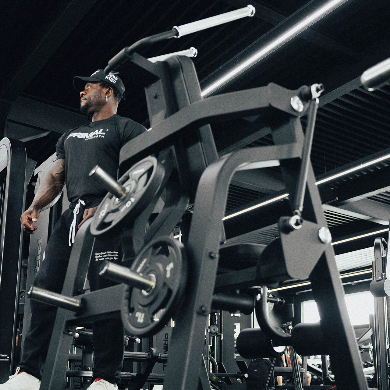 A behind view of a plate loaded ab crunch machine loaded with weight discs.