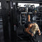 Pin Loaded Glute Kickback