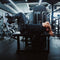 Pin Loaded Reverse Ab Crunch