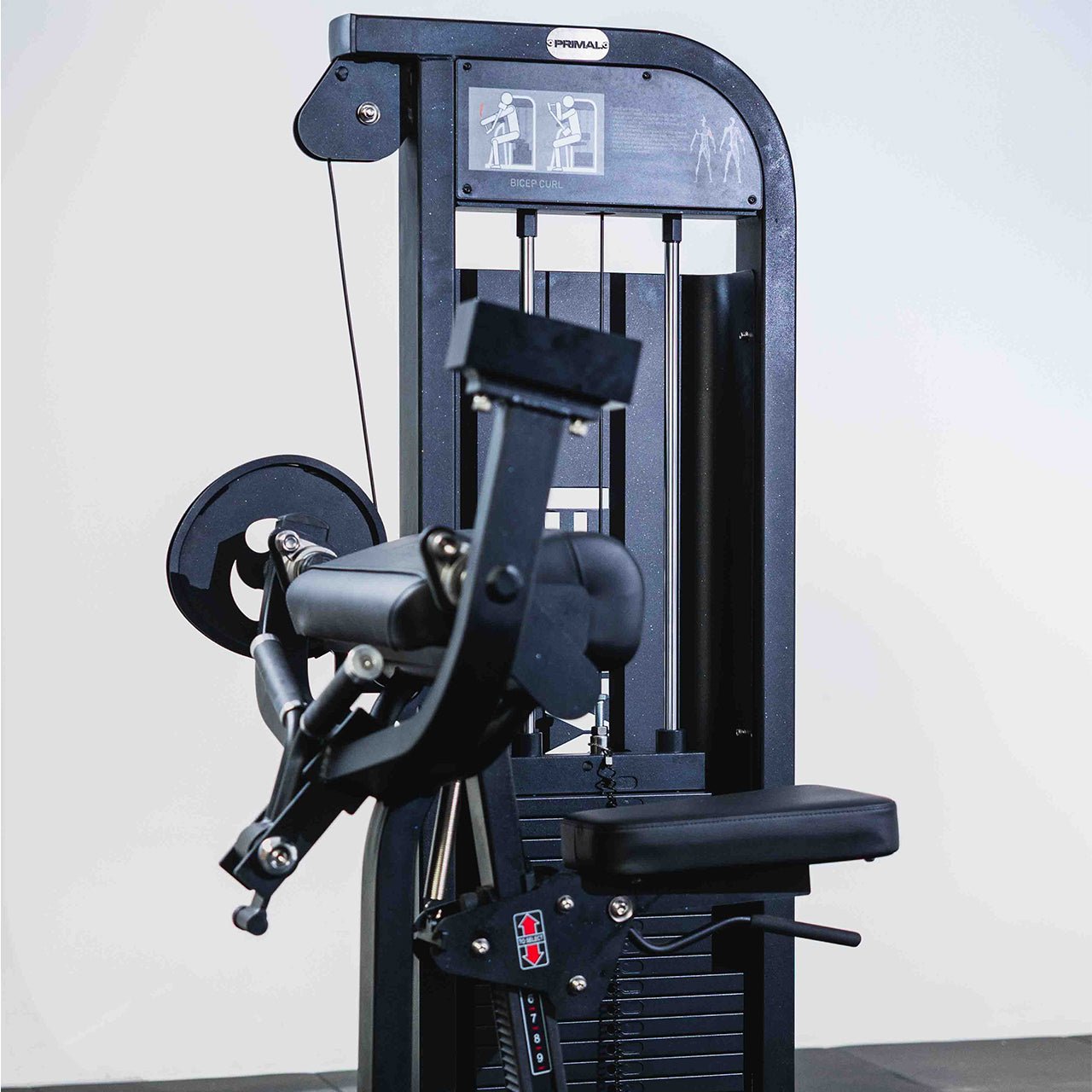 Black pin loaded bicep curl machine on a white background.