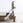 Wooden pilates reformer with beige cushion on a white background