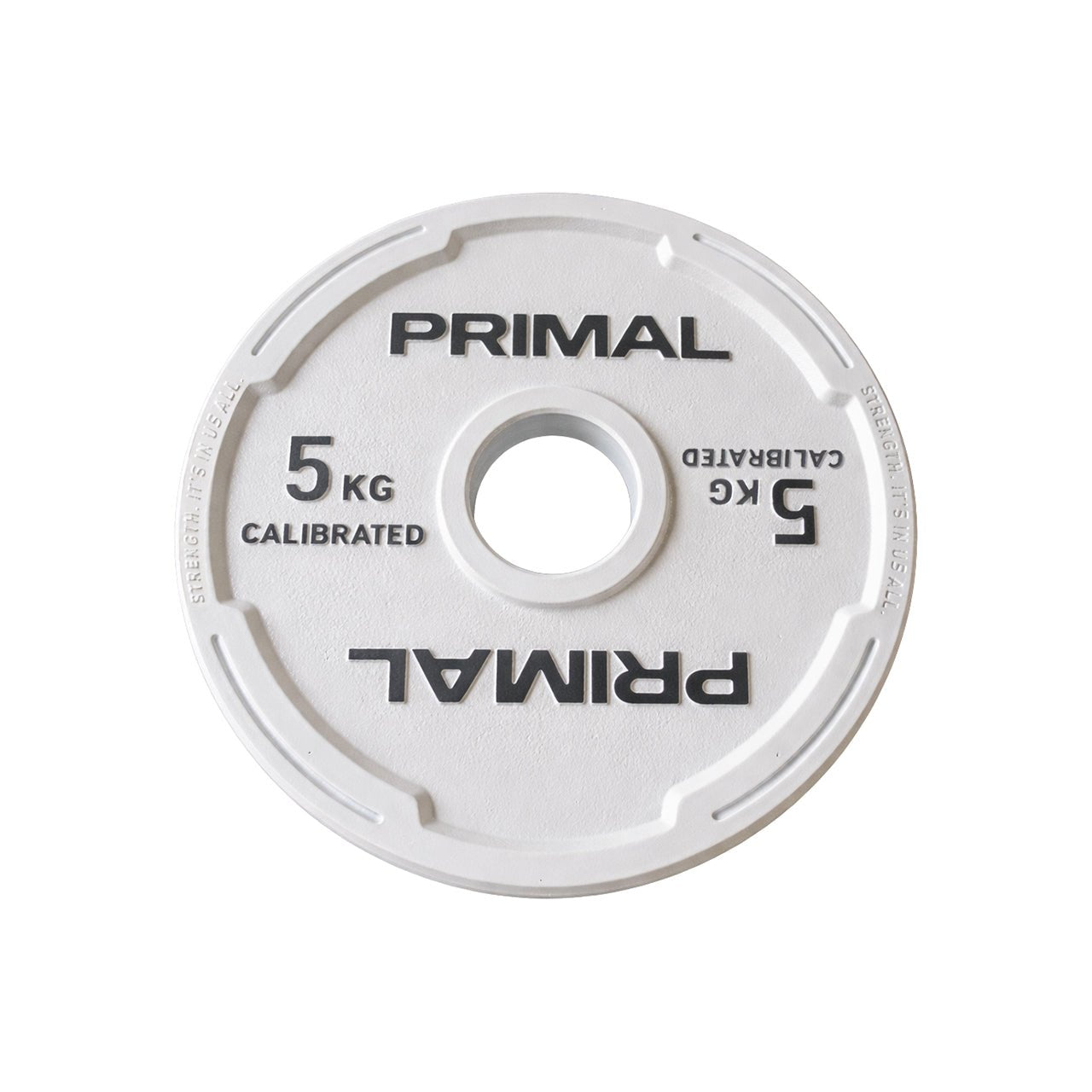 V3 Steel Calibrated Plate (Singles)