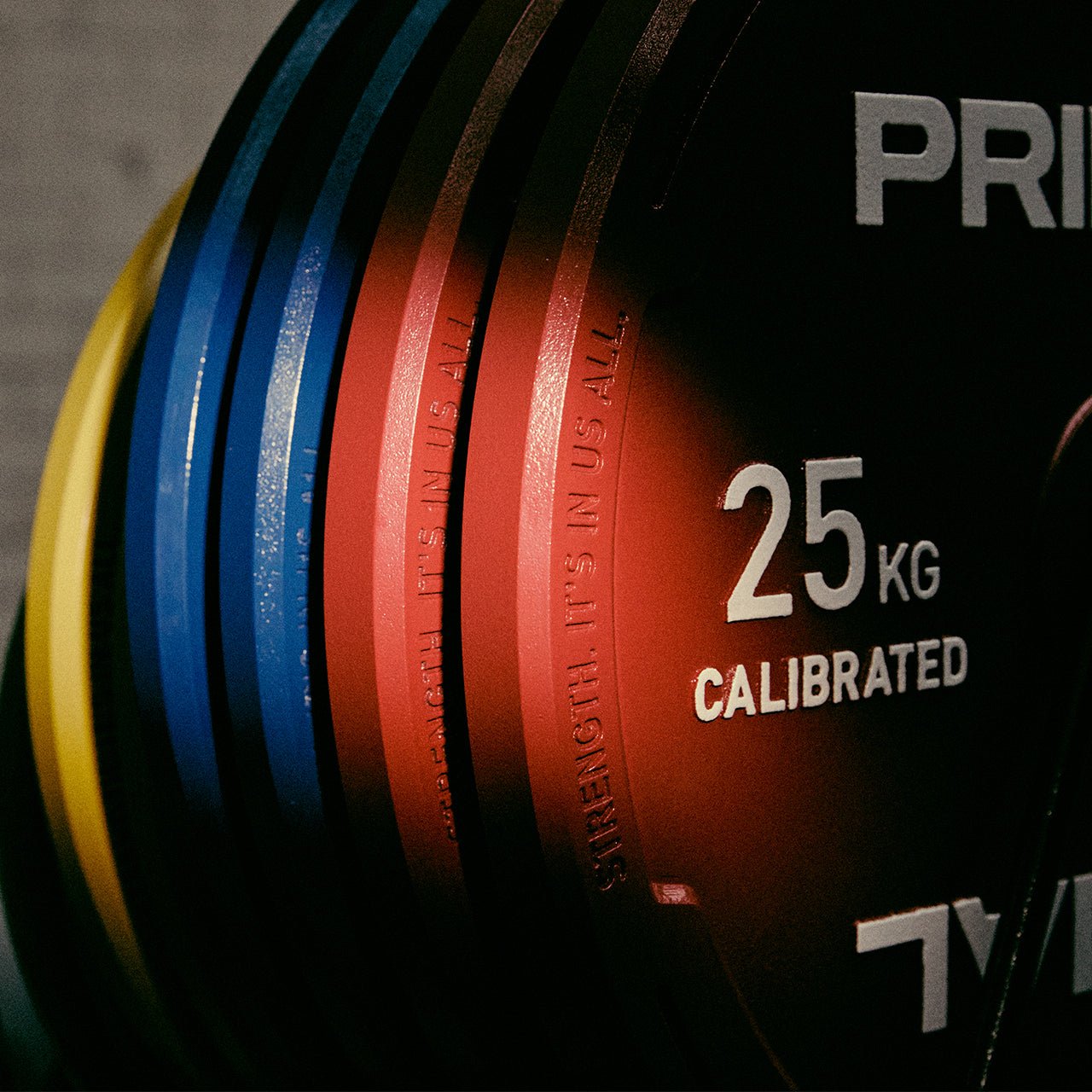 V3 Steel Calibrated Plate (Singles)