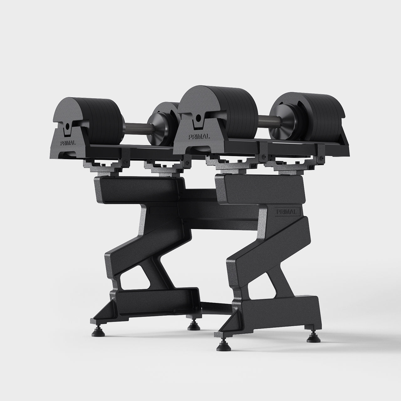 A dumbbell storage stand filled with a pair of adjustable dumbbells.