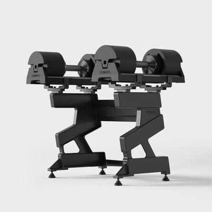 A dumbbell storage stand filled with a pair of adjustable dumbbells.