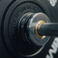 Primal Performance Series Black Rubber Bumper Plate (Sets)