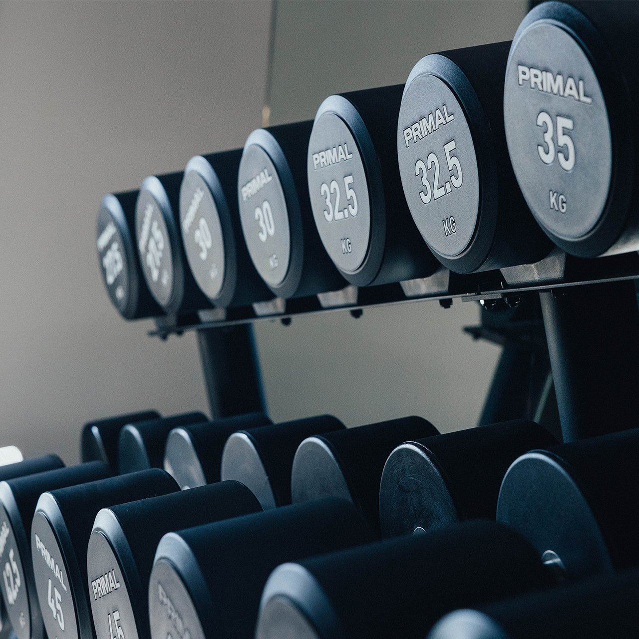 CPU Urethane Dumbbell (Sets)