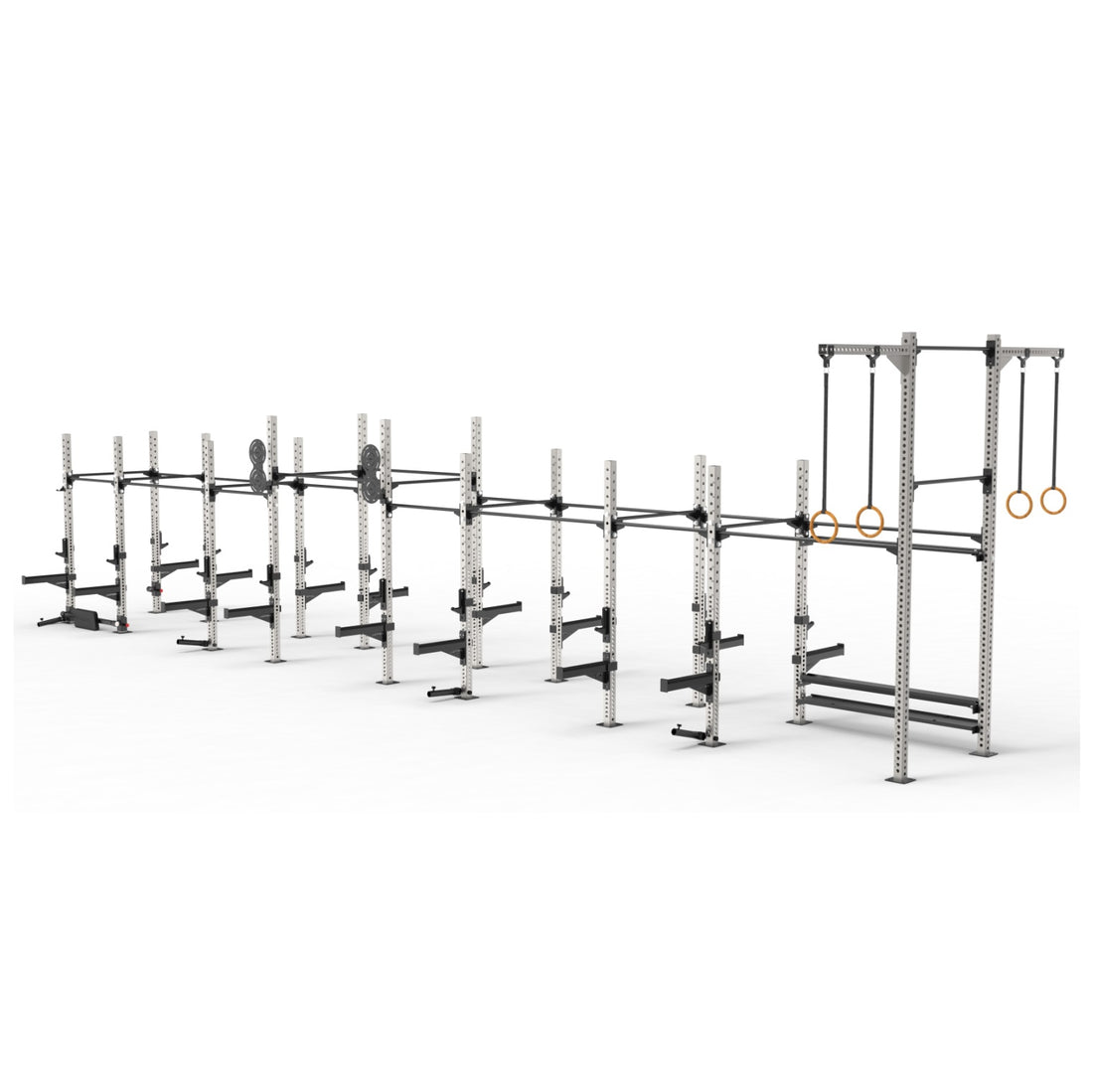 Primal Performance Series PXD Training Rig - 10 Station – Primal Strength