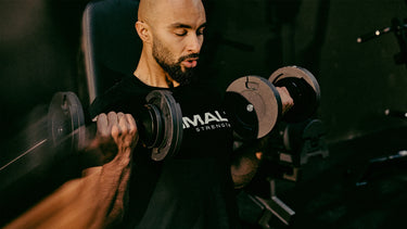 <p>Free Weights</p>