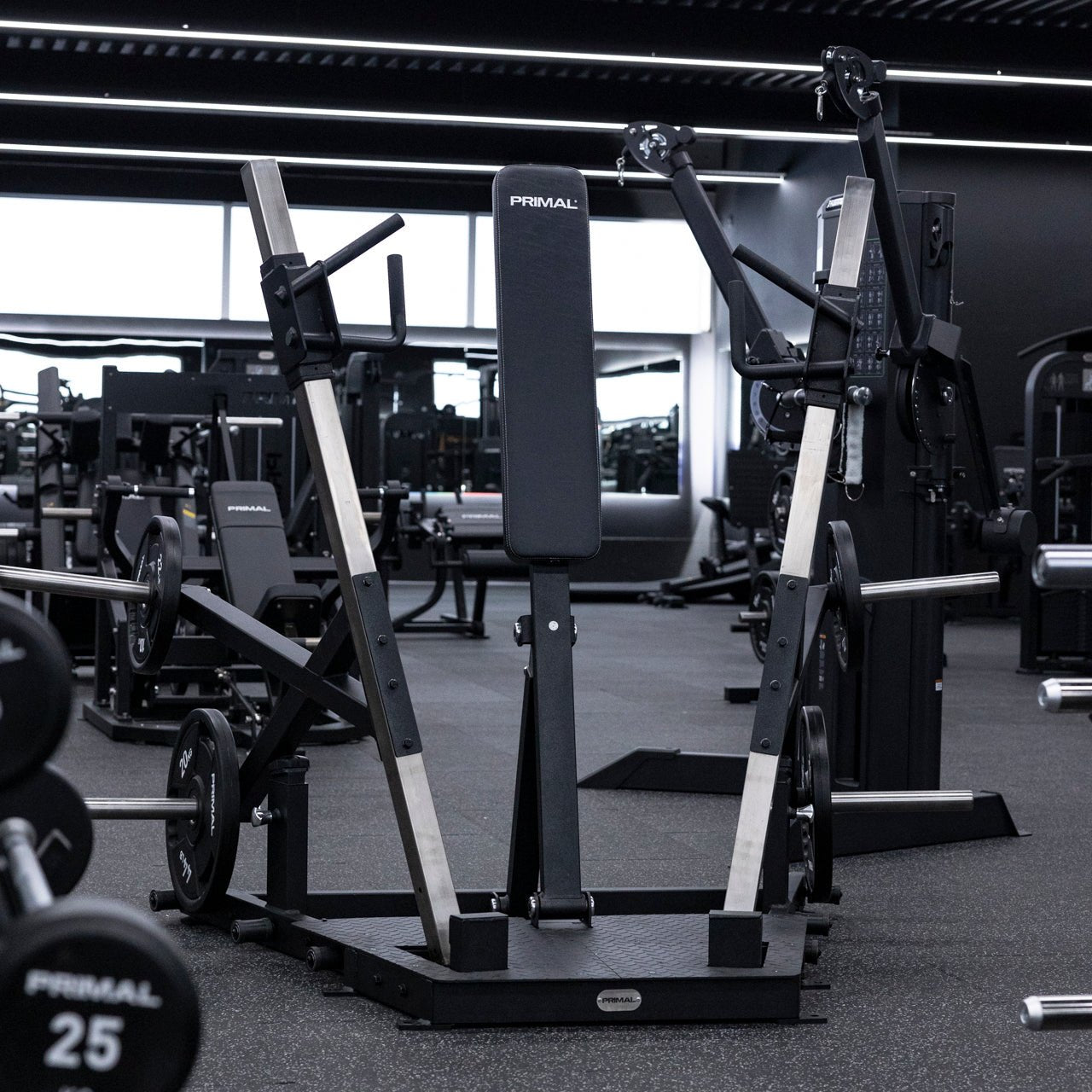 Standing Chest Press