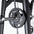 Olympic 5 Degree Smith Machine